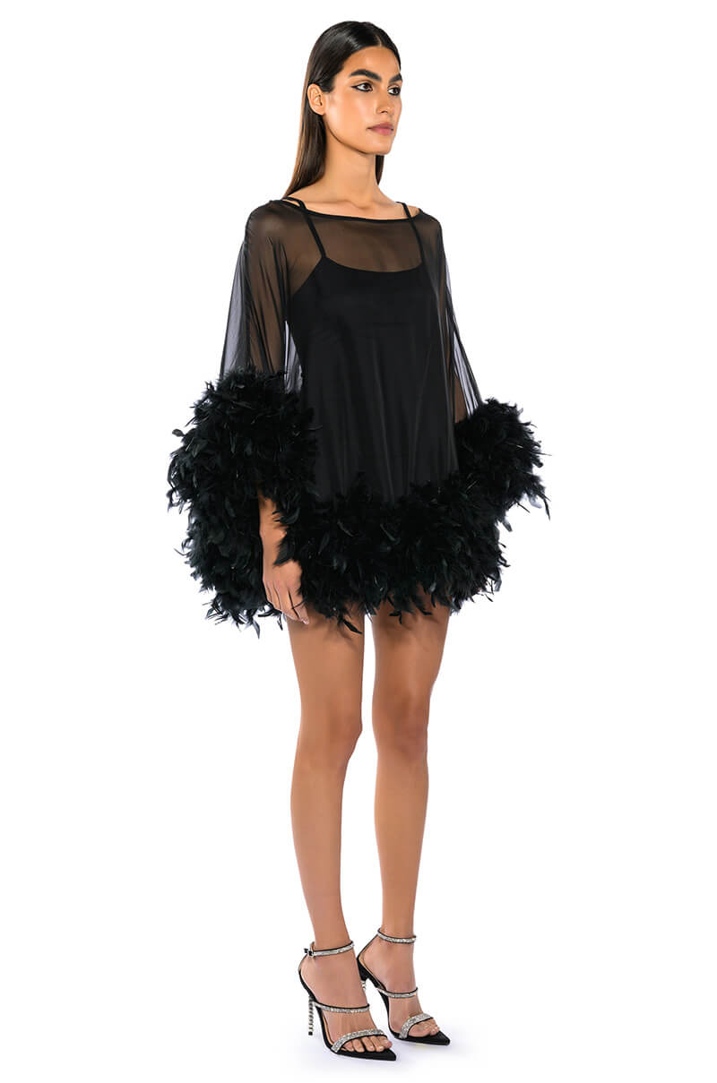 THAT VA VA VOOM LONG SLEEVE SHEER TRAPEZE DRESS