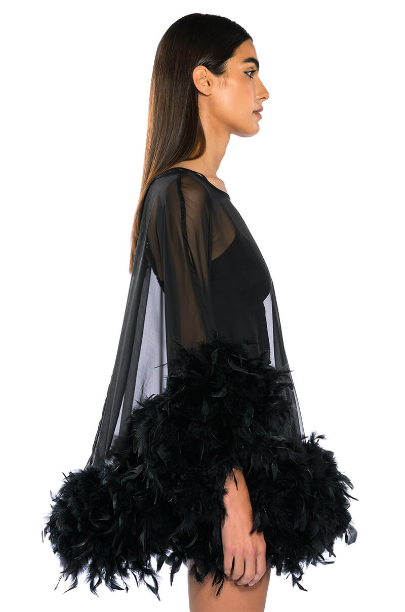 THAT VA VA VOOM LONG SLEEVE SHEER TRAPEZE DRESS