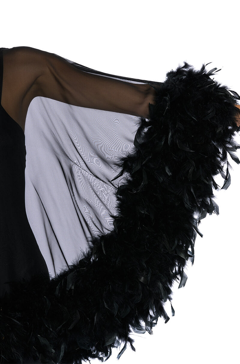 THAT VA VA VOOM LONG SLEEVE SHEER TRAPEZE DRESS