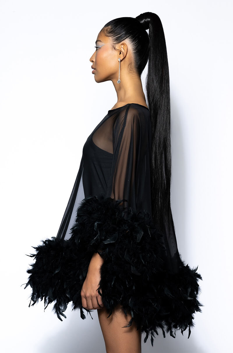 THAT VA VA VOOM LONG SLEEVE SHEER TRAPEZE DRESS
